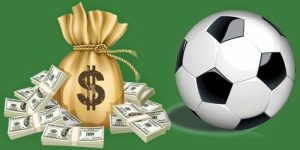 Bí quyết từ nhiều chuyên gia